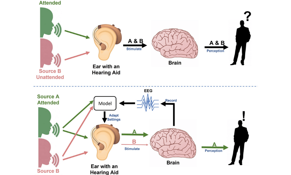 New EEG-based Source Localization Methods for Investigating the Neural Basis of Speech Processing
