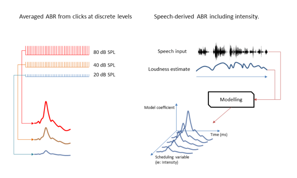 Optimizing Level-Dependent Auditory Brainstem Responses to continuous speech